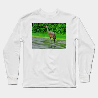 Walking Crane Long Sleeve T-Shirt